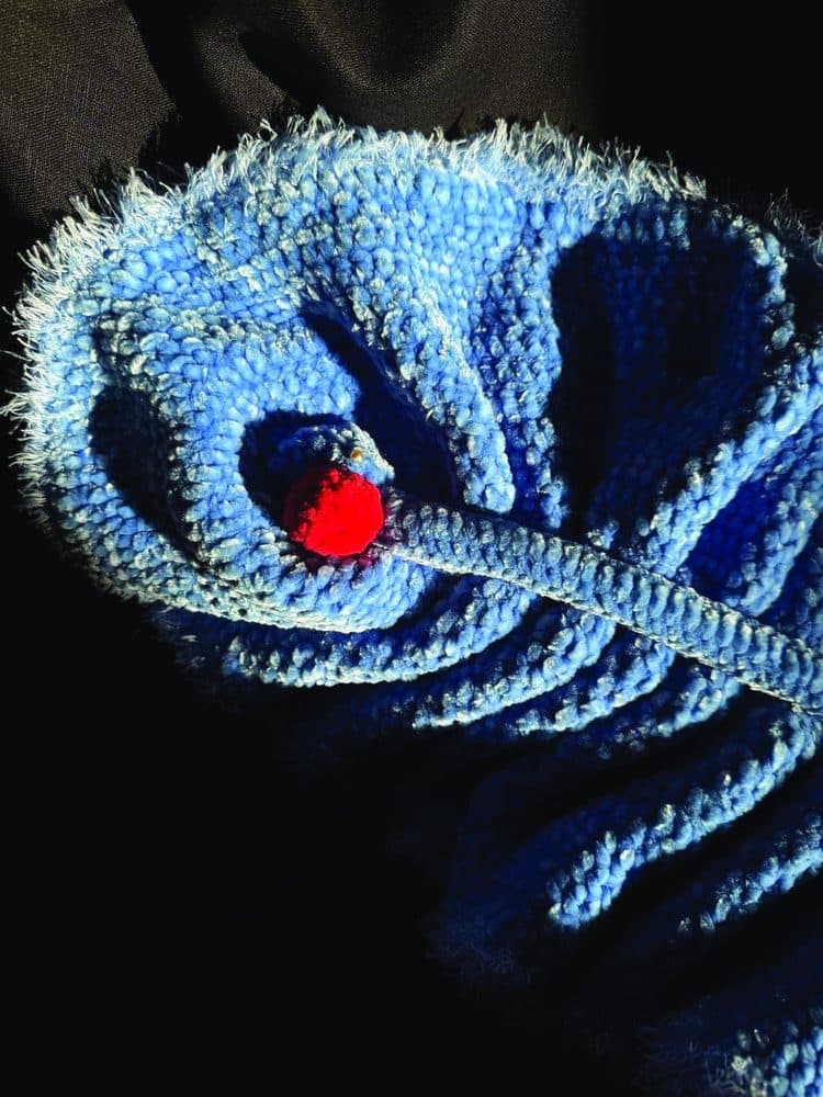 Oslobastrius, detail 2